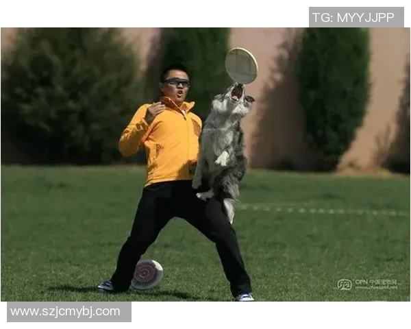 深度对话李娜如何在飞盘世界中找到自我与激情的旅程